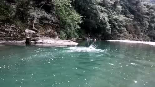 逃离野丛之森